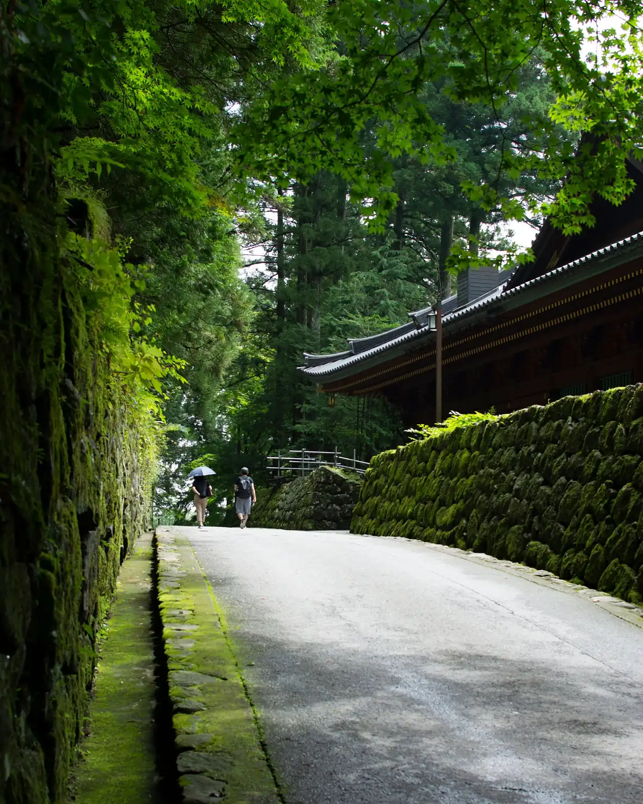 Camino entre muros de musgo y grandes árboles junto a un templo de Nikko