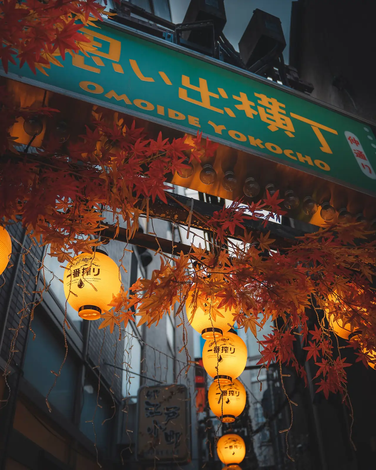 Farolillos encendidos y hojas rojas en un callejón de Tokio al anochecer