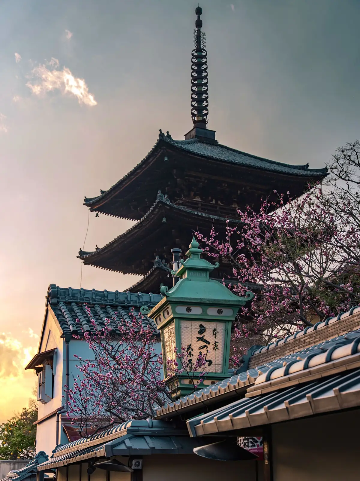 Pagoda entre tejados tradicionales y ciruelos en flor, en Kioto